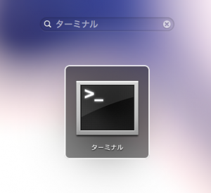 ターミナルの起動画像